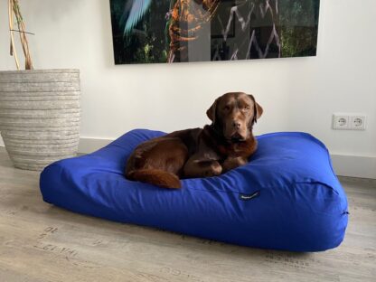 Dog's Companion® Hondenbed royal blue small